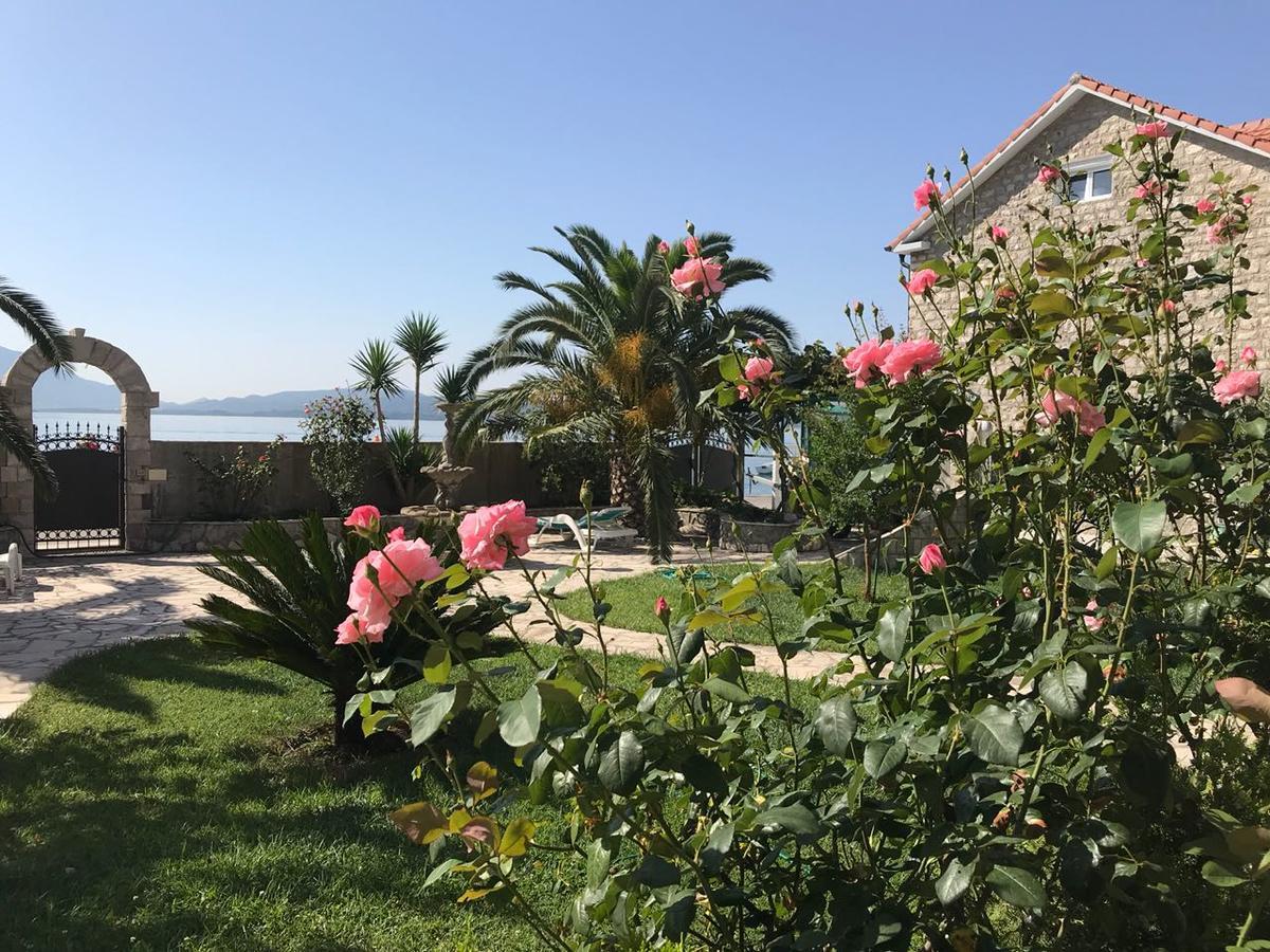 Apartments Apple Cat Montenegro Ko بِييلا المظهر الخارجي الصورة